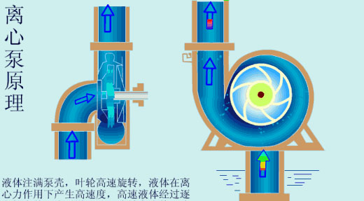 給（gei）水泵、給（ji）水泵別再傻傻分不清楚（內含動畫）