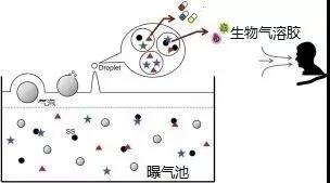 污水廠內(nèi)的生物氣溶膠，污水從業(yè)人員必讀-